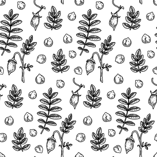 Hand drawn chickpeas seamless pattern Vector illustration in sketch style