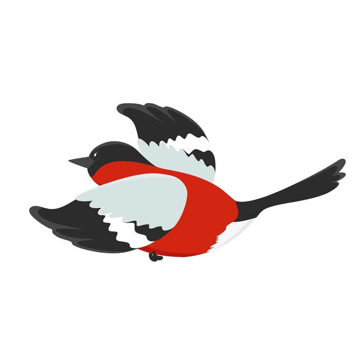 Vector hand drawn christmas bullfinch. winter bird. vector doodle sketch illustration isolated on white background.