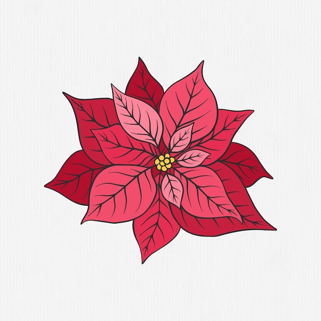 手描きのクリスマスの花のイラスト