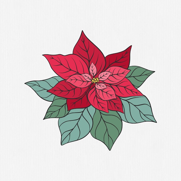 ベクトル 手描きのクリスマスの花のイラスト