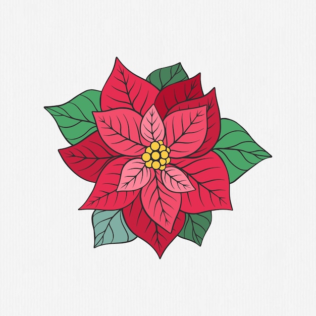 手描きのクリスマスの花のイラスト