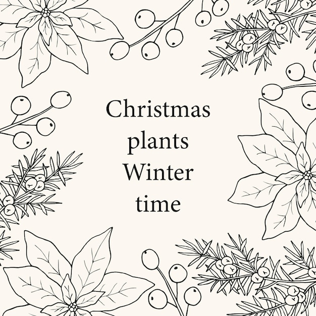 Hand drawn Christmas plants frame