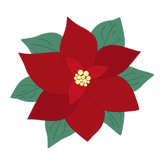 손으로 그린 크리스마스 포인세티아 잎 흰색 배경에 고립 장식 낙서 스케치 그림 벡터 꽃 요소