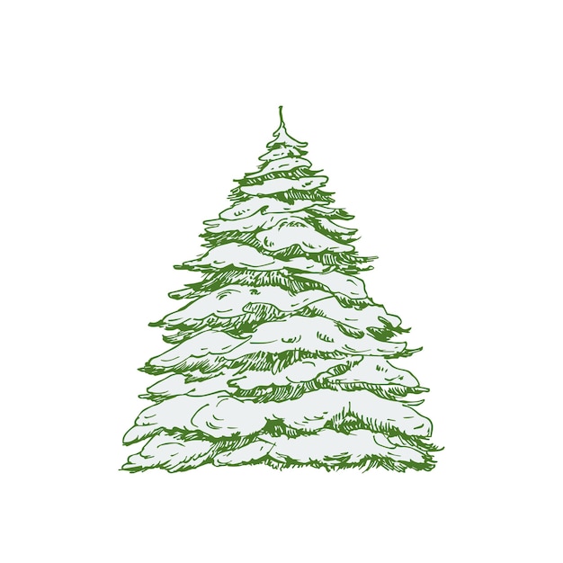 Albero di natale disegnato a mano coperto di illustrazione di vettore di colore della neve. schizzo astratto. disegno di stile di incisione di vacanze invernali. isolato