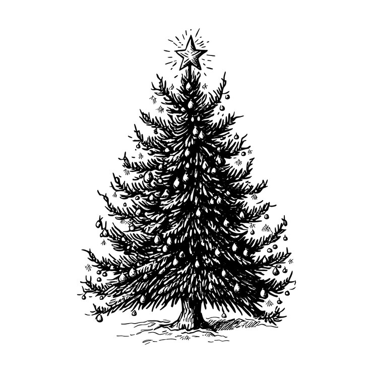 Vector hand drawn of christmas tree