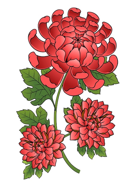 Vector hand drawn of chrysanthemum flower on stem and leaves