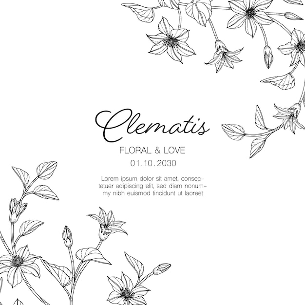 白い背景の上の線画と手描きのクレマチスの花のグリーティングカード。
