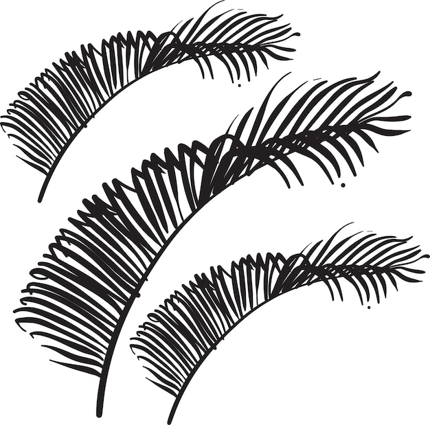 hand drawn coconut leaves