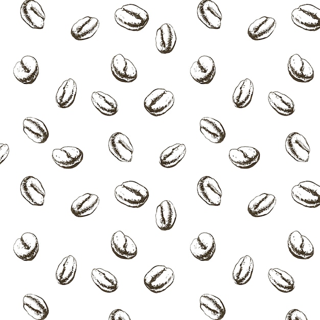 Vector hand drawn coffee bean drawing pattern