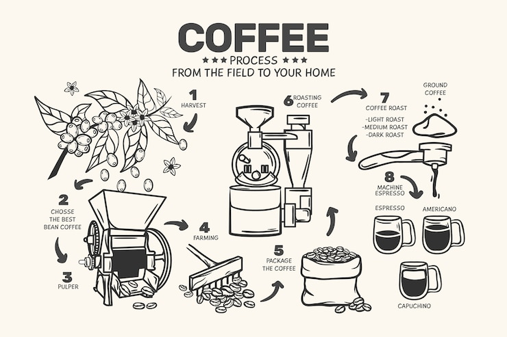 Vector hand drawn coffee concept