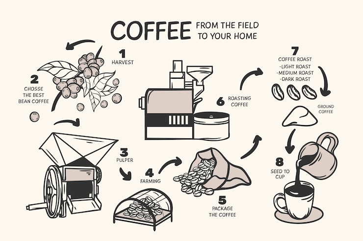 Vector hand drawn coffee concept