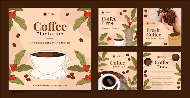 Hand drawn coffee plantation instagram posts