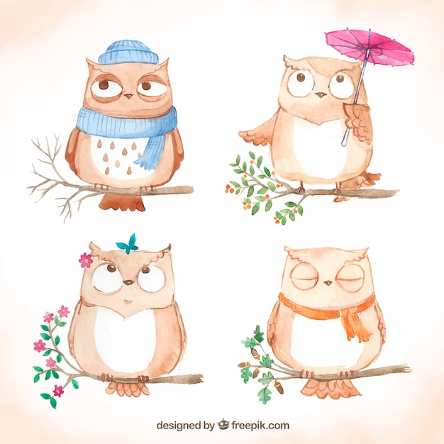 Vector hand drawn collection of cartoon owls