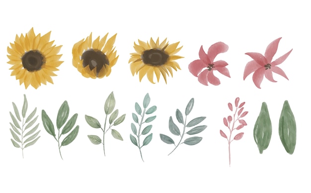 hand drawn collection of sunflower elements