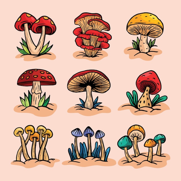 다양한 종류의 버섯을 손으로 그린 컬렉션