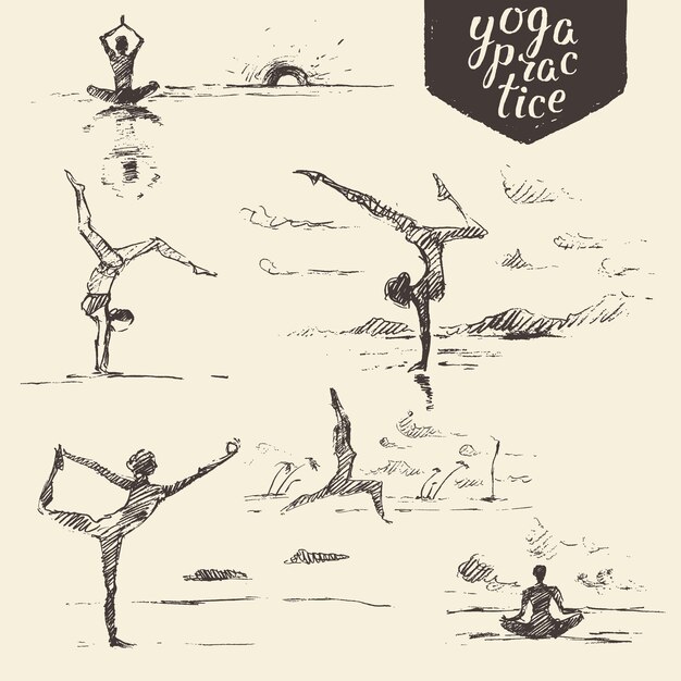 Collezione disegnata a mano di esercizi di yoga, stile di vita sano. illustrazione incisa di vettore, schizzo