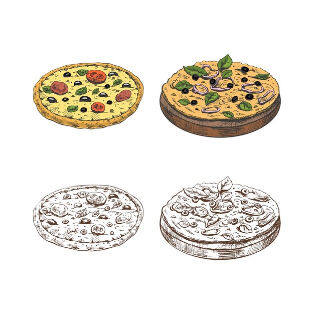 Vector hand drawn colored and monochrome sketches of vegetarian pizza on wooden plate and pizza margherita