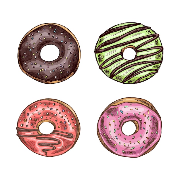 A hand drawn colored sketches of donuts Top view Vintage illustration Pastry sweets dessert