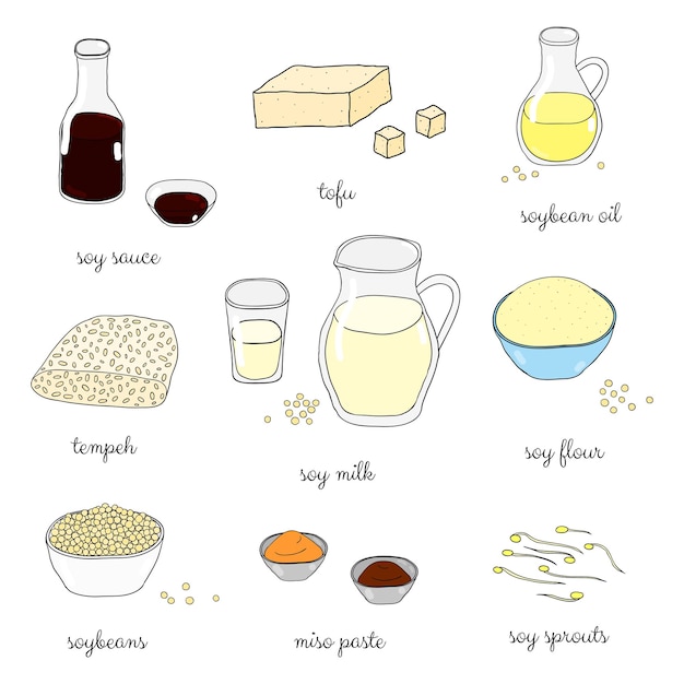 Vector hand drawn colored soy foods