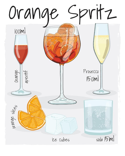 Vector hand drawn colorful orange spritz summer cocktail drink with ingredients