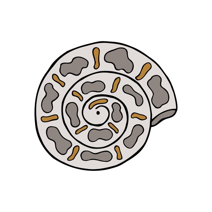 Vector hand drawn colorful sea shell isolated on a white background
