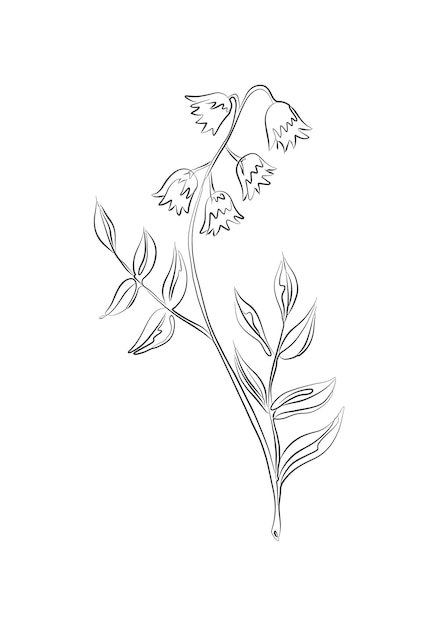 Ручной рисунок непрерывной линии Цветок колокольчика Минималистские принты Травяной рисунок