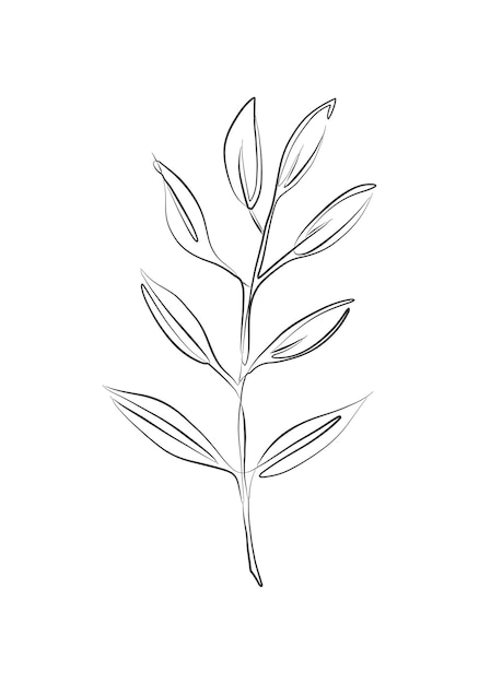 손으로 그린 연속 선 그리기 나뭇잎 식물 검정 스케치 미적 윤곽 미니멀리스트 현대 식물 인쇄 홈 장식 벽 예술 포스터 T셔츠 디자인 포장