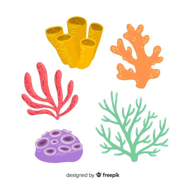 Vector hand drawn coral collection