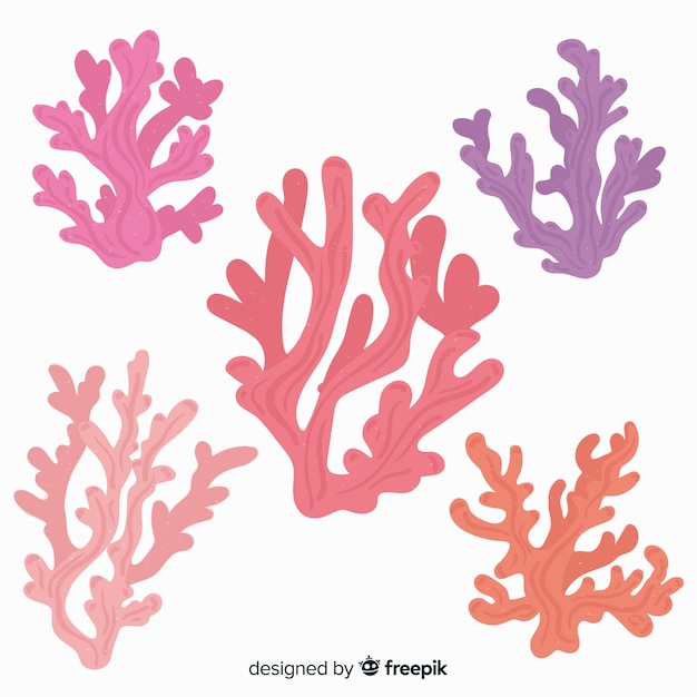 Vector hand drawn coral collection