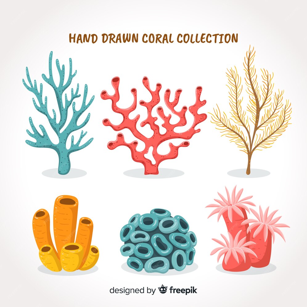 Coral Reef hand draw