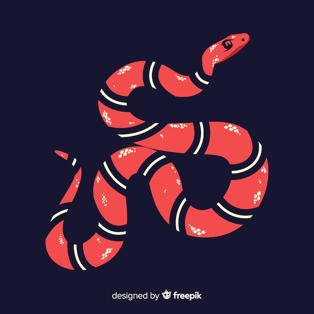 Vettore sfondo di serpente corallo disegnato a mano