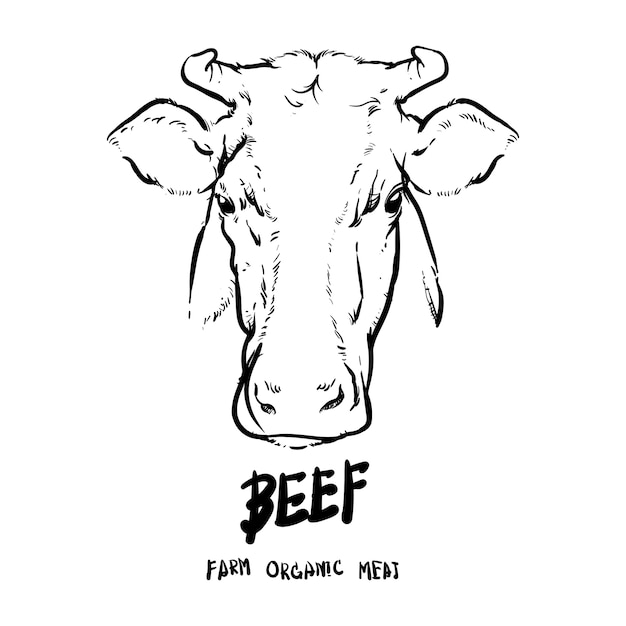 Vector hand drawn cows head outline.