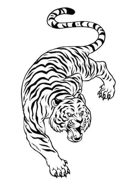 Premium Vector  Hand drawn crouching tiger in black and white style