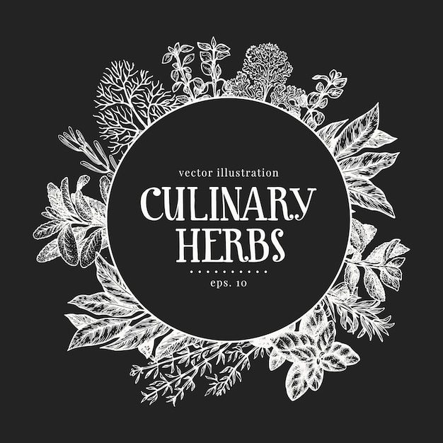 Hand drawn culinary herbs label  template.