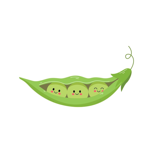 hand drawn cute bean illustration