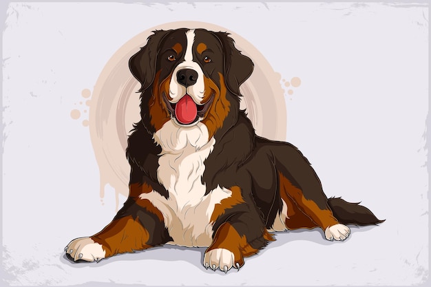 hand drawn cute brown swiss bernese mountain dog lying down and panting isolated on white background