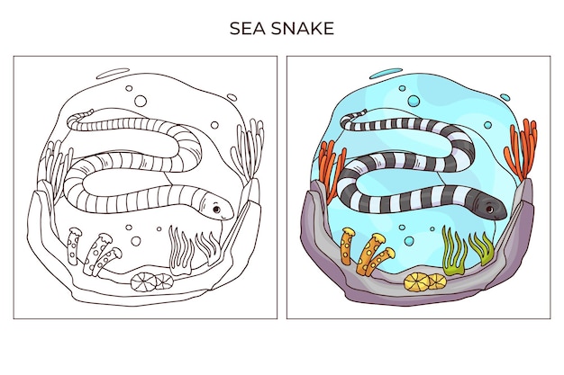 ページを着色するための手描きのかわいい海の生き物ウミヘビ