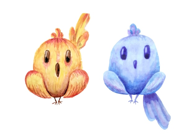 Hand drawn cute watercolor birds on white background in cartoon style