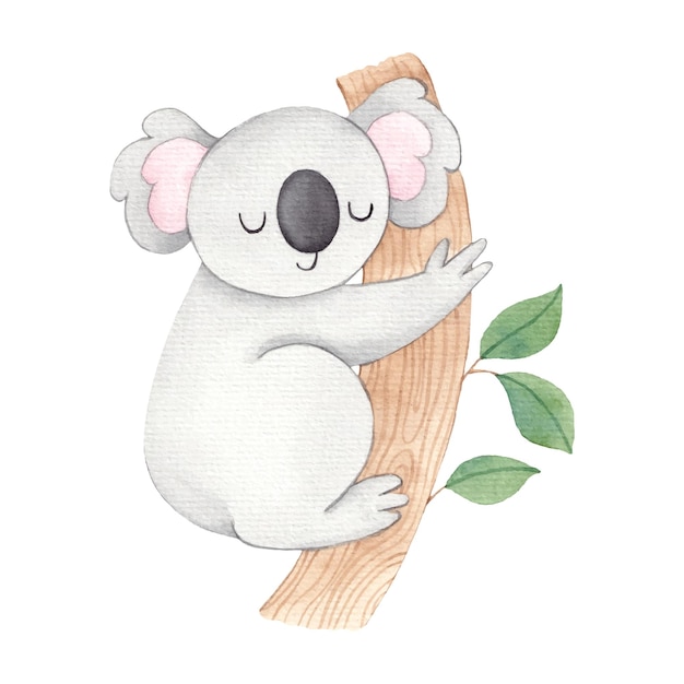 Koala dell'acquerello carino disegnato a mano su un ramo di albero