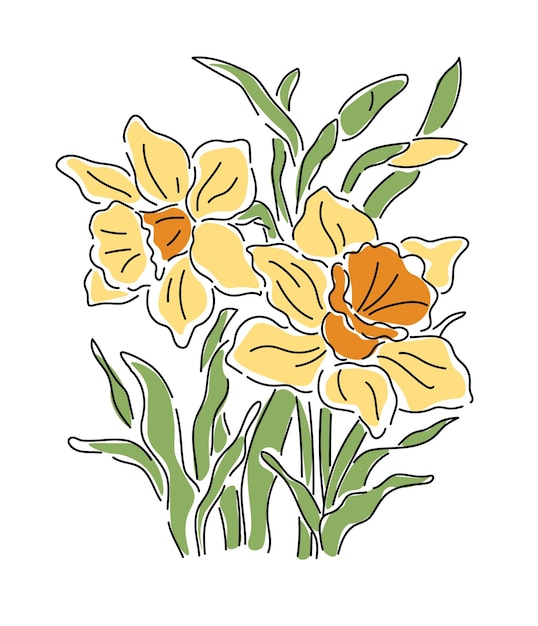 Vector hand drawn daffodil vector flowers line art