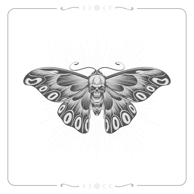 Vector hand drawn death moth drawing illustration