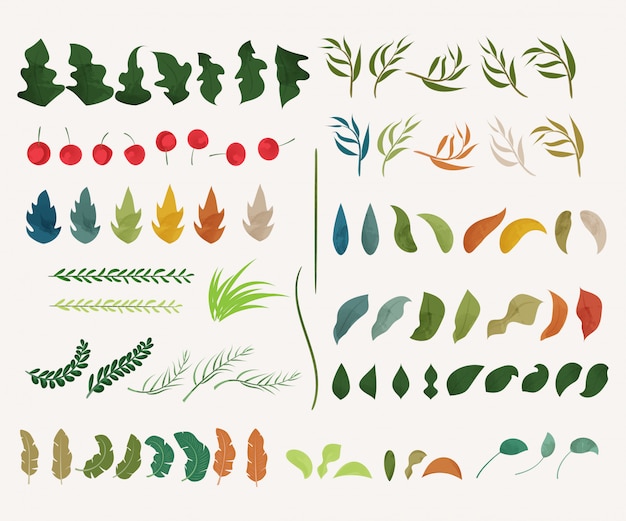 Vector hand drawn decoration of leaves and natural element