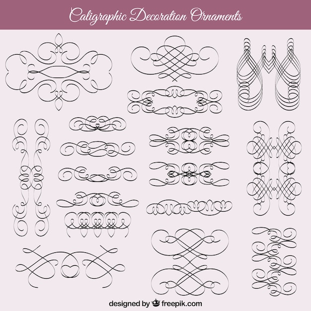 Vector hand drawn decoration ornaments