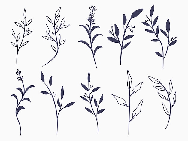 Vector hand drawn decorative flower and leaves