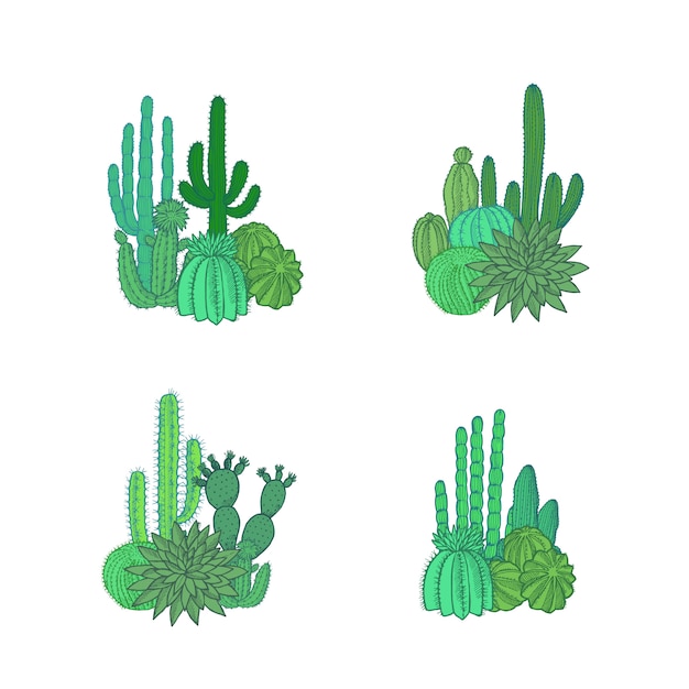 Mucchi di piante di cactus del deserto disegnati a mano impostati isolato su priorità bassa bianca