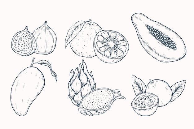 Hand drawn different fruits collection