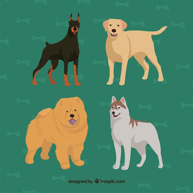 ベクトル 手描きの犬の品種のコレクション
