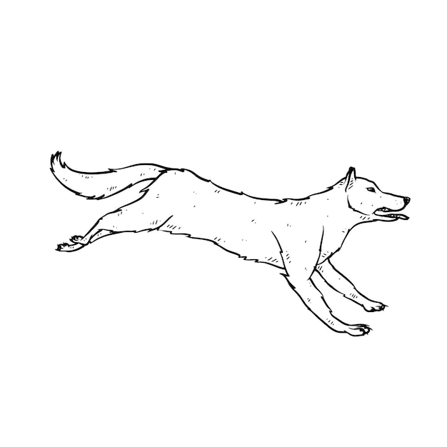 Hand drawn dog in doodle style sketch