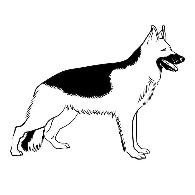 Illustrazione del profilo del cane disegnato a mano