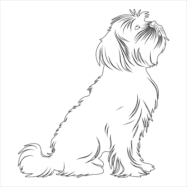 hand drawn dog outline illustration